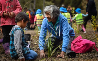 Introducing the Regional Food Systems Strategy Project