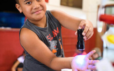 Regional Economic Development Plan Implementation Underway