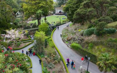 Natural Capital in our Capital