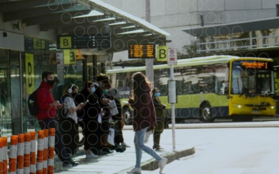 Introducing the Wellington Transport Analytics Unit