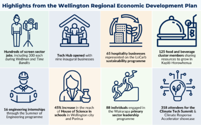 Wellington regional economic plan identifies ‘pockets of growth’